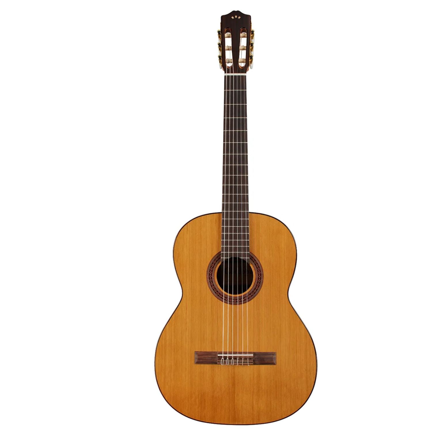 Cordoba Electro Acoustic Guitars Cordoba C5 CD 6 String Classical Electro Acoustic Guitar