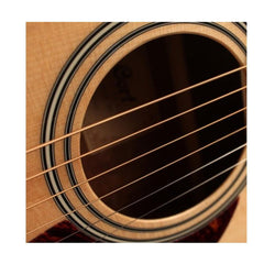 Cort Acoustic Guitar Bundles Cort CAP 810 Trailblazer Acoustic Guitar Pack