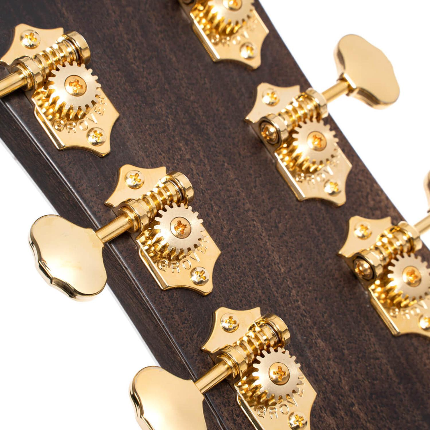 Cort Acoustic Guitars Cort Gold Series D8 6 String Acoustic Guitar