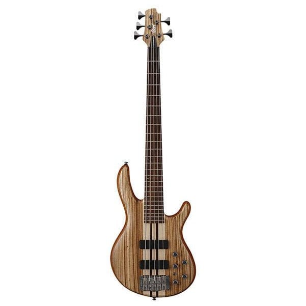 cort bass guitars cort a5 custom z 5-string bass guitar with case