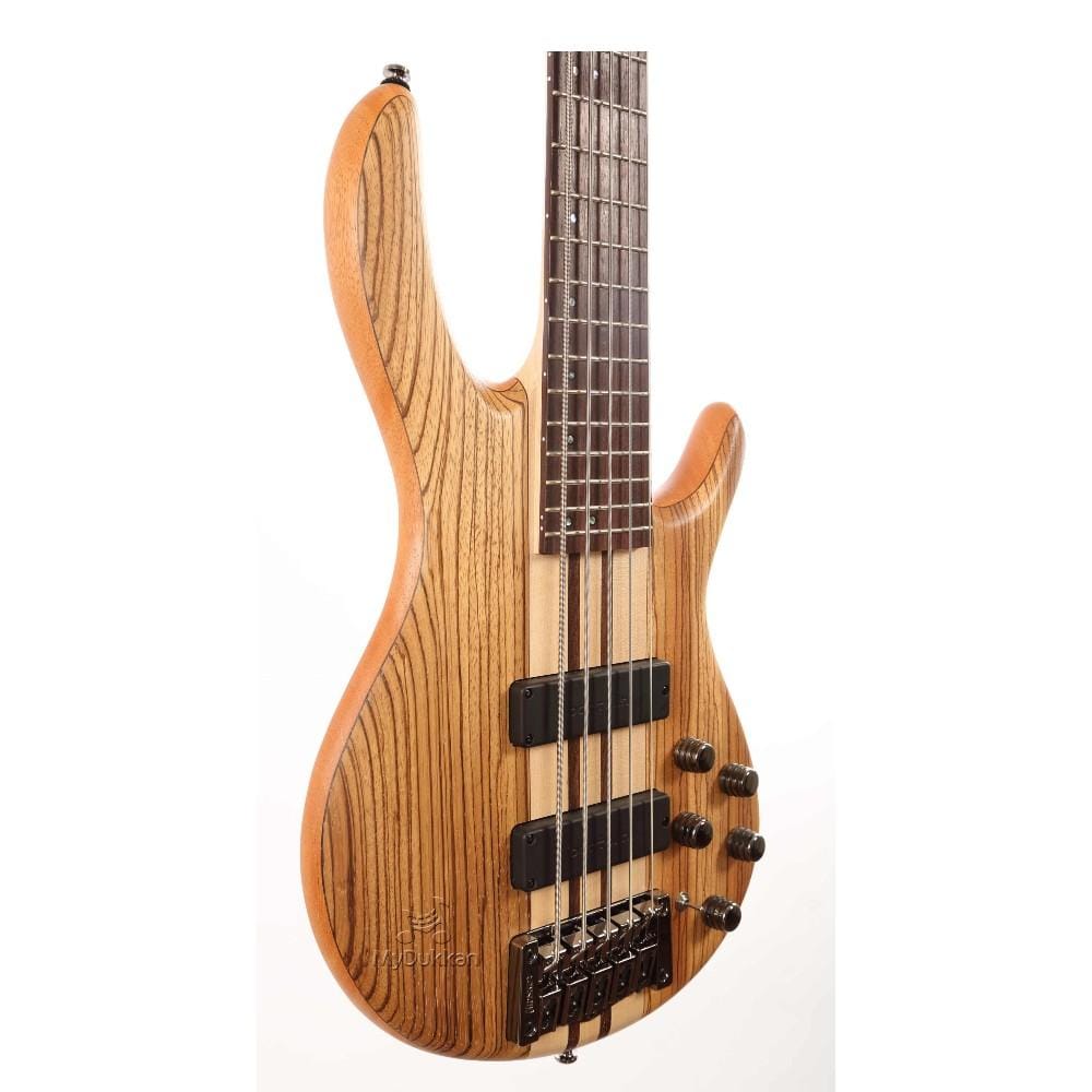 cort bass guitars cort a5 custom z 5-string bass guitar with case
