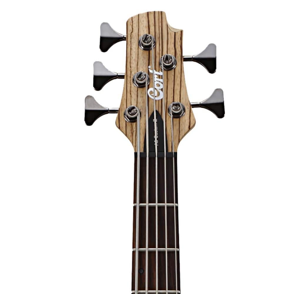cort bass guitars cort a5 custom z 5-string bass guitar with case