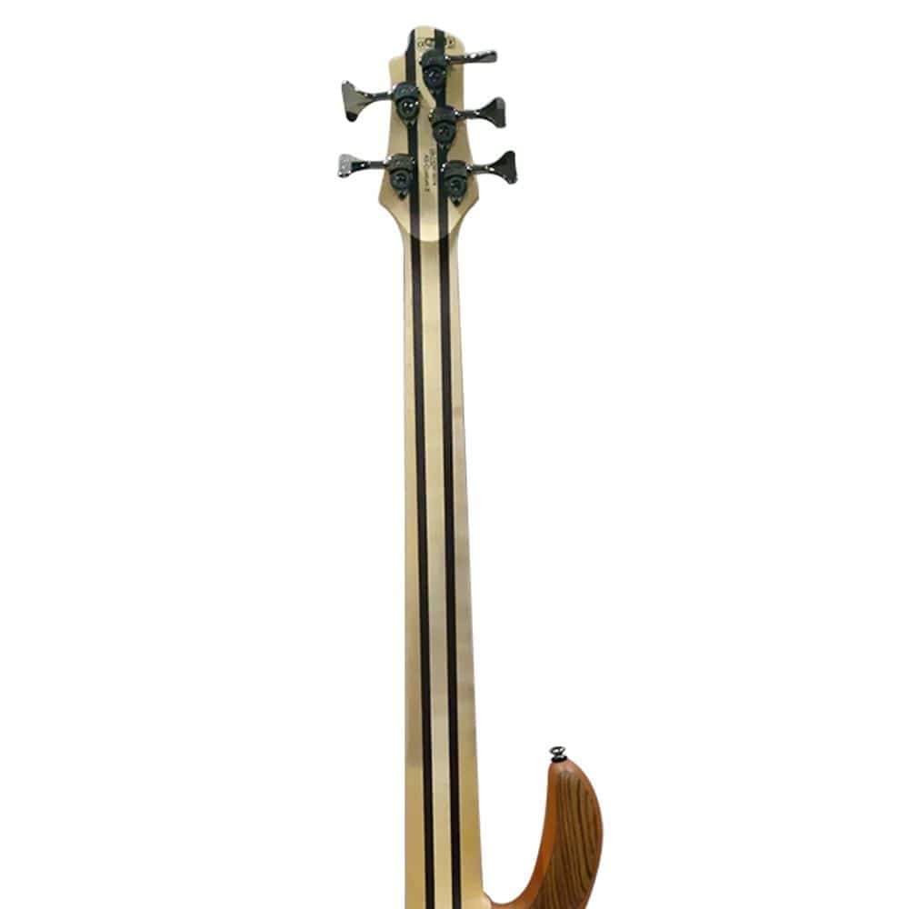 cort bass guitars cort a5 custom z 5-string bass guitar with case