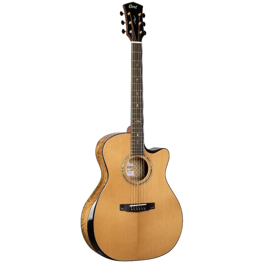 cort electro acoustic guitars cort gold edge le limited edition electro acoustic guitar with case