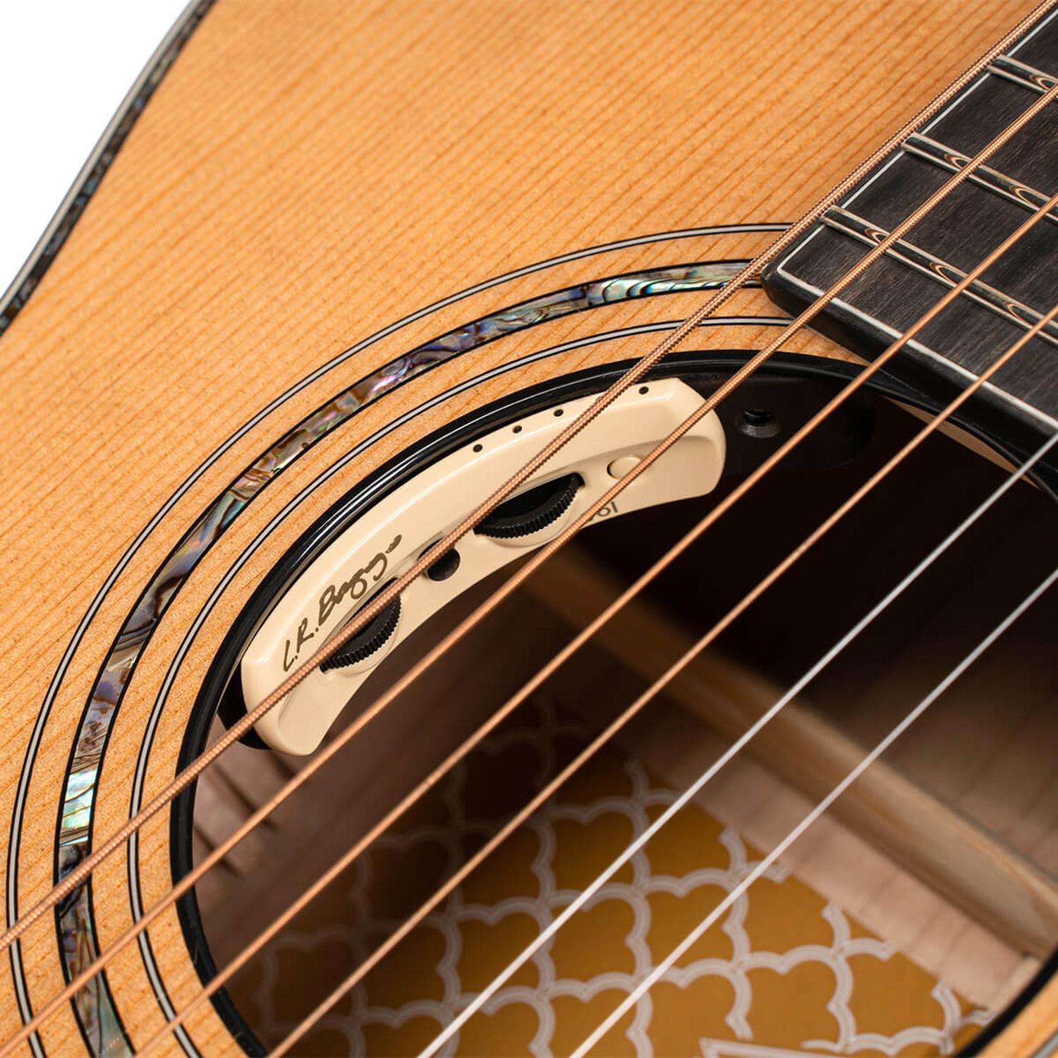 Cort Electro Acoustic Guitars Cort Gold-Passion 6 String Electro Acoustic Guitar with Case - Natural Glossy