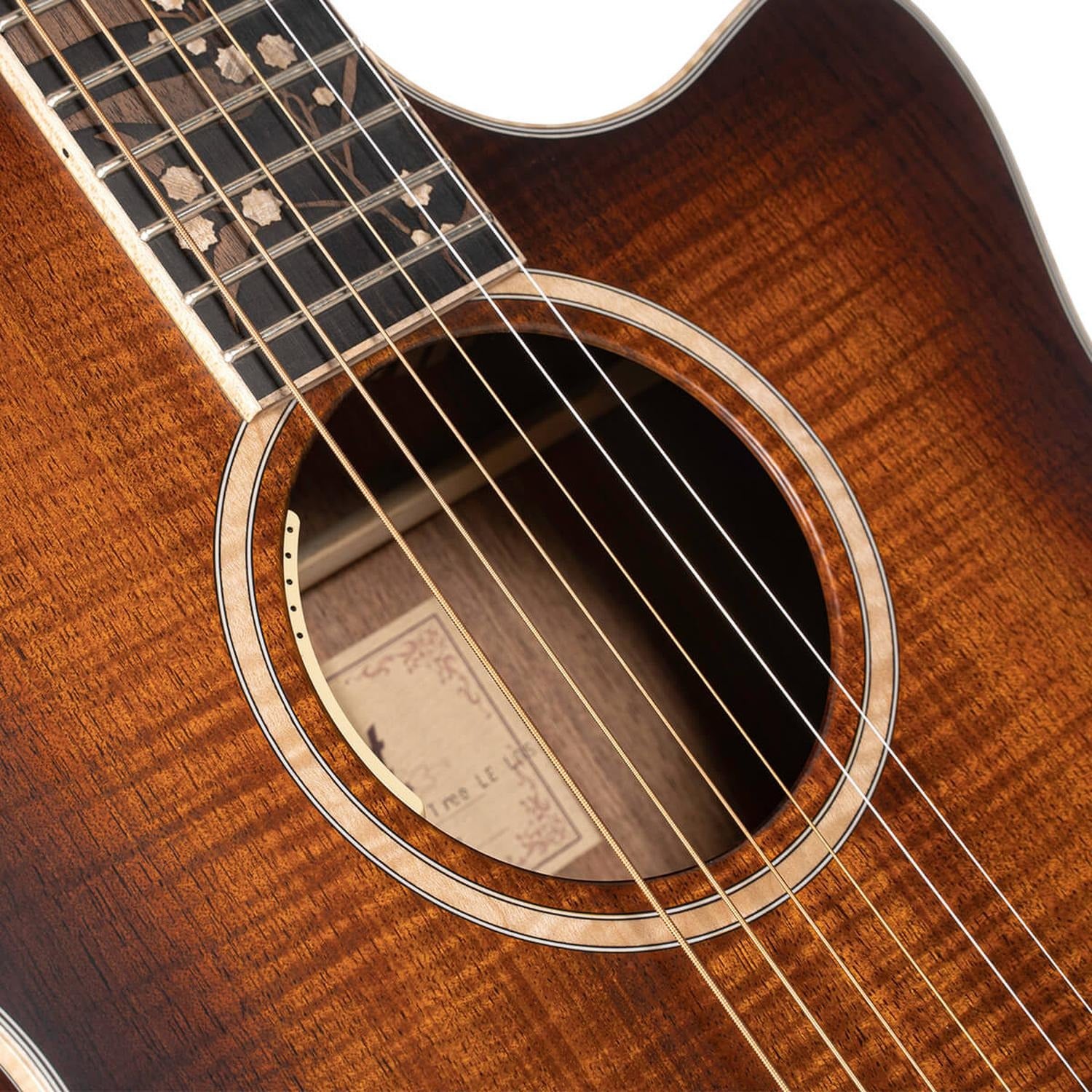 Cort Electro Acoustic Guitars Light Burst Satin Cort The Black Tree Limited Edition Electro Acoustic Guitar