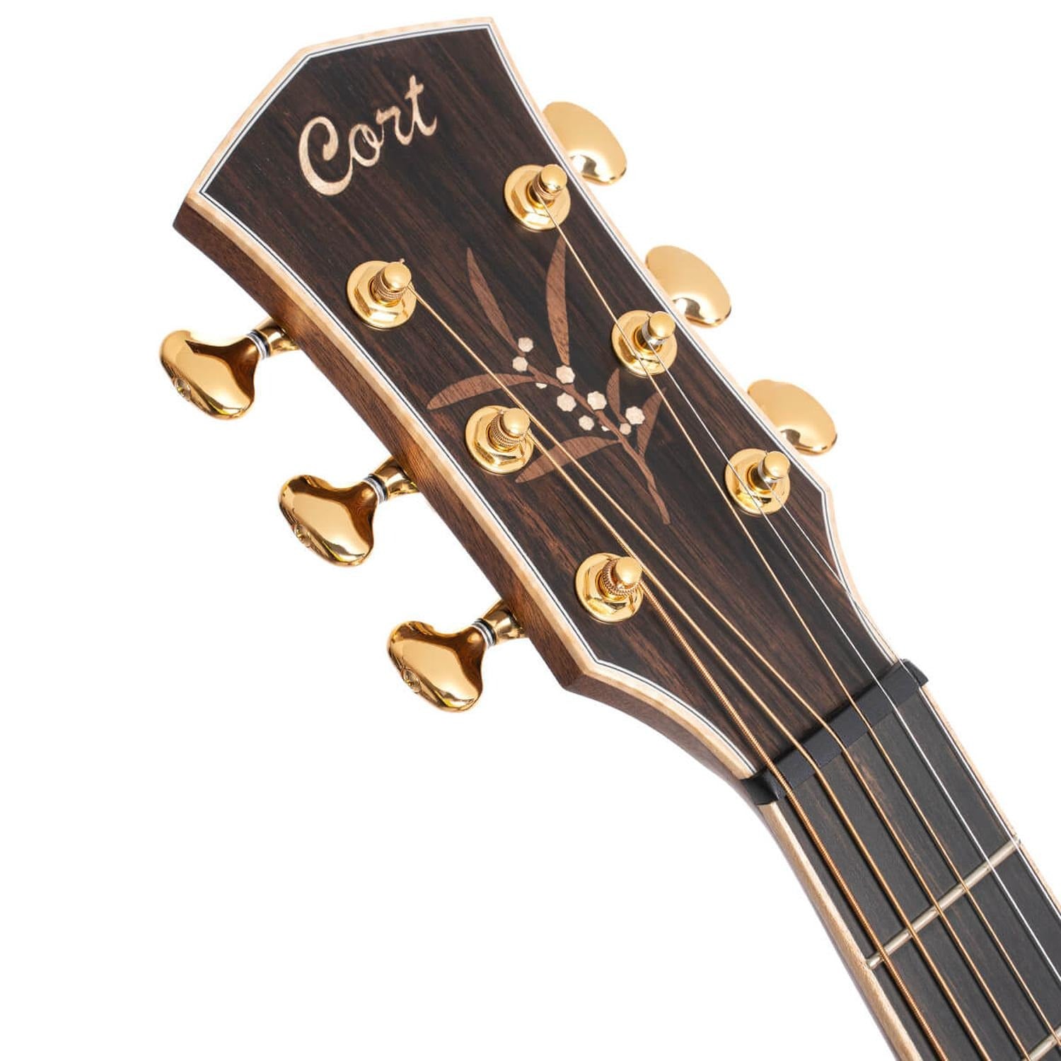 Cort Electro Acoustic Guitars Light Burst Satin Cort The Black Tree Limited Edition Electro Acoustic Guitar