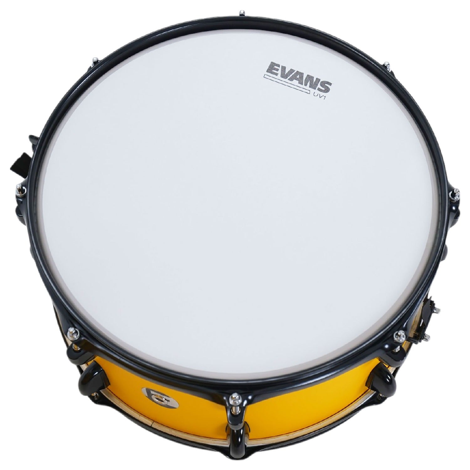 Dixon Acoustic Drum Kits Dixon Fuse 5 Piece Maple Gloss Acoustic Drum Kit