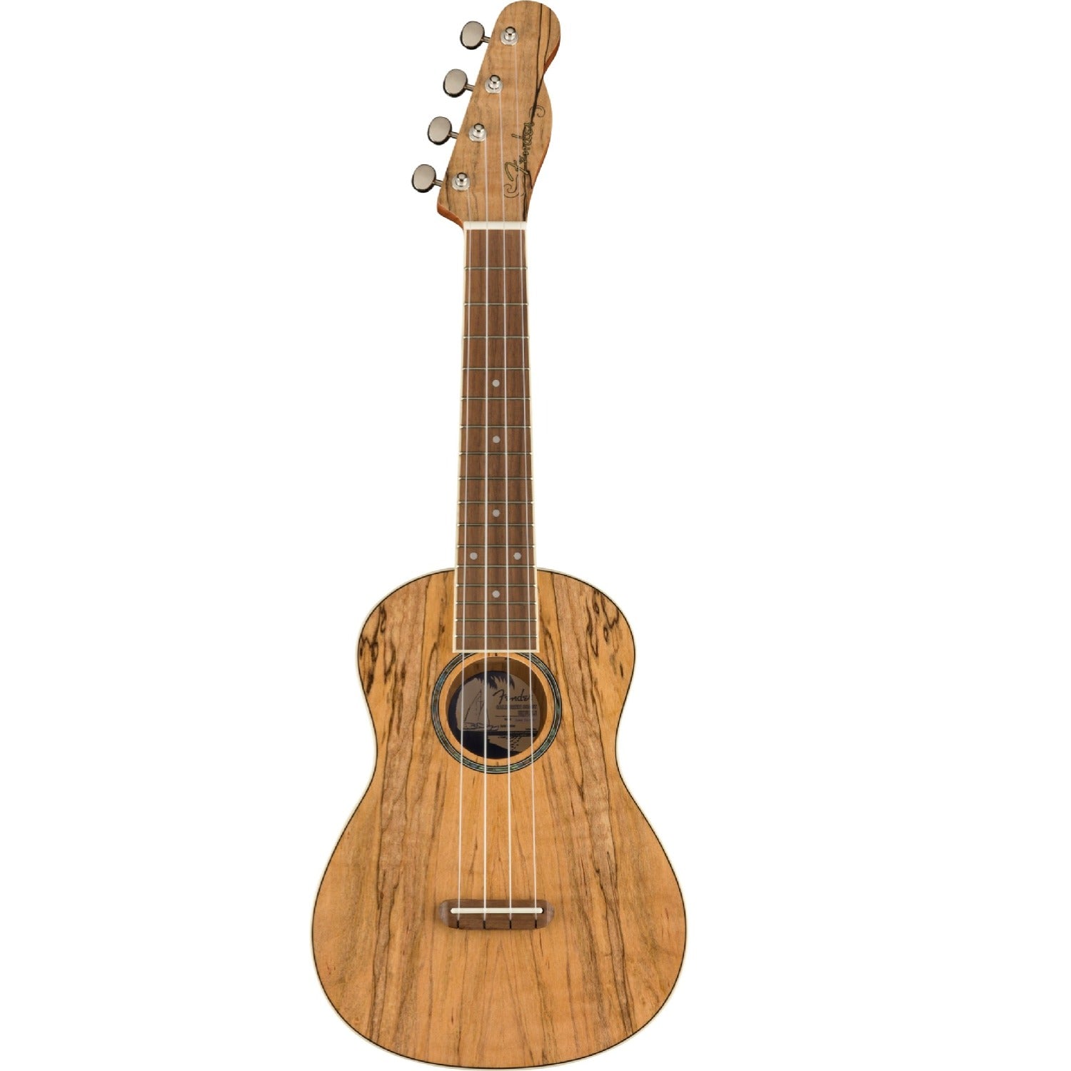 Fender Concert Ukuleles Natural Spalted Maple Fender Zuma Exotic Concert Ukulele