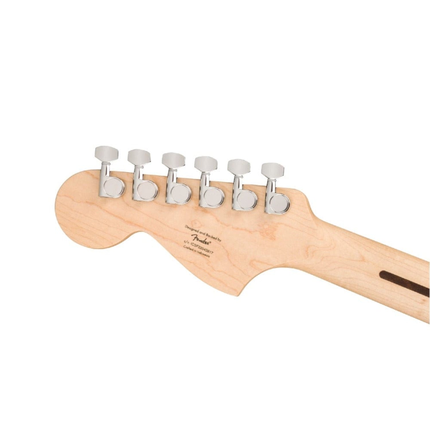 fen-0373702555
-1#color_flash-pink,fingerboard_maple,type_single
