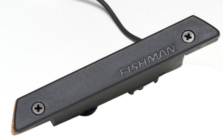 fishman pickups fishman rare earth pro-rep-102 humbucking soundhole pickup