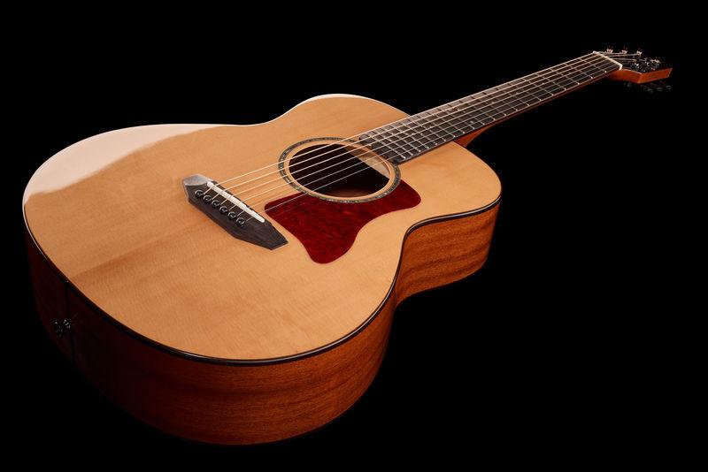 harley benton acoustic guitars harley benton custom line clgs-10s travel