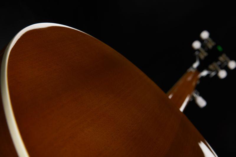 harley benton banjos harley benton hbj-25