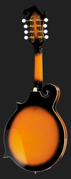 harley benton mandolins harley benton hbma-100e- vs