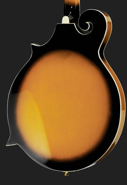harley benton mandolins harley benton hbma-100e- vs