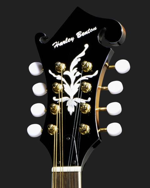 harley benton mandolins harley benton hbma-100e- vs