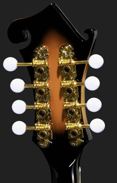 harley benton mandolins harley benton hbma-100e- vs
