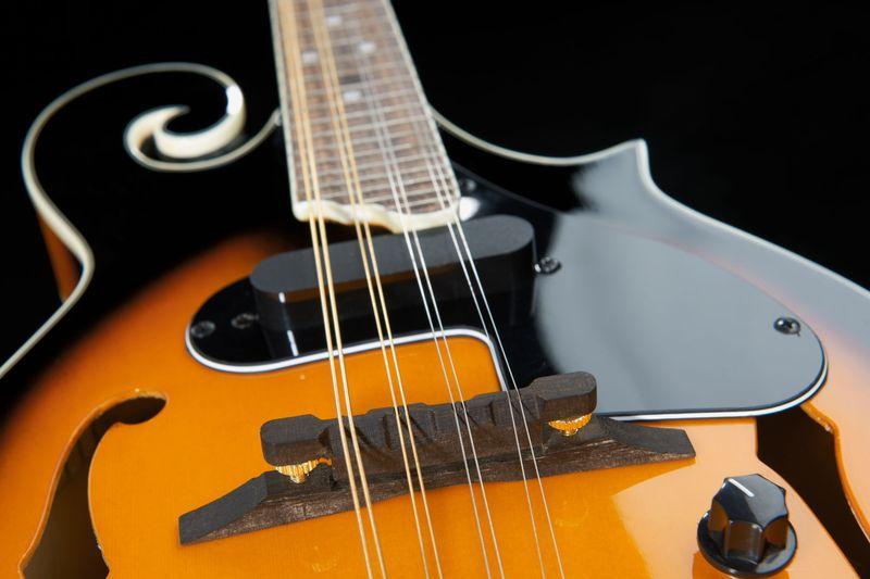 harley benton mandolins harley benton hbma-100e- vs