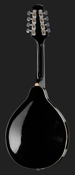 harley benton mandolins harley benton hbma-50 mandolin vs