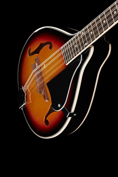 harley benton mandolins harley benton hbma-50 mandolin vs