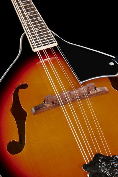 harley benton mandolins harley benton hbma-50 mandolin vs