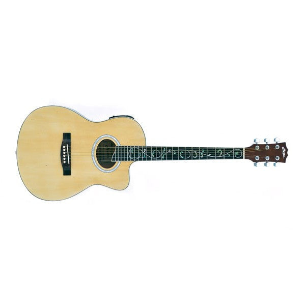 hertz electro acoustic guitars hertz hza-3901 et electro-acoustic guitar
