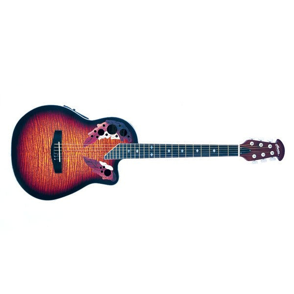 hertz electro acoustic guitars hertz hzr-3801e electro-acoustic guitar
