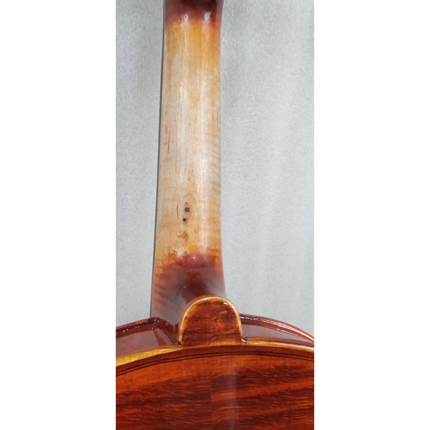 Hidersine Violins Hidersine Piacenza 4/4 Finetune Violin Outfit - Open Box