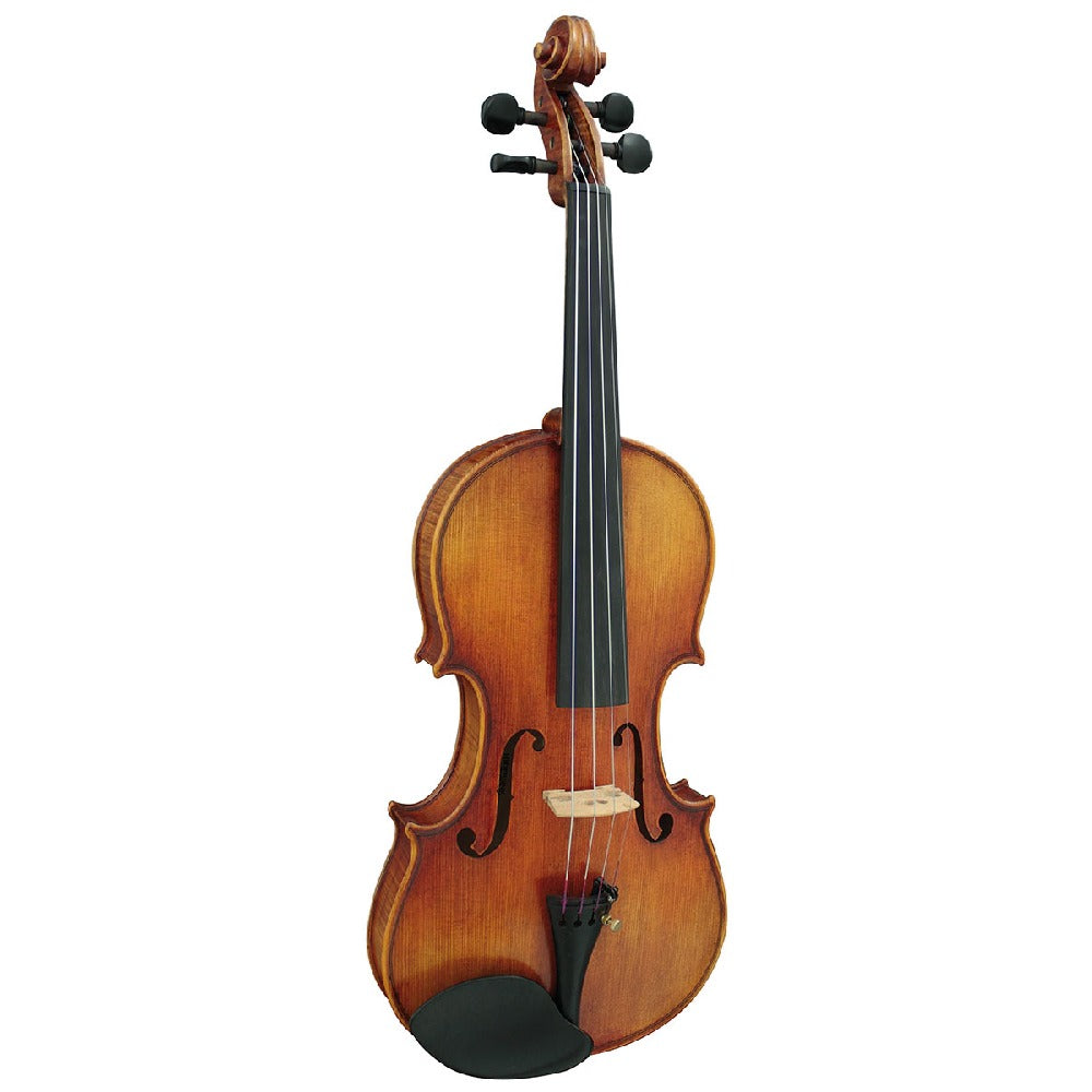 Hidersine Violins Hidersine WV100SRA 4/4 Venezia Outfit Violin