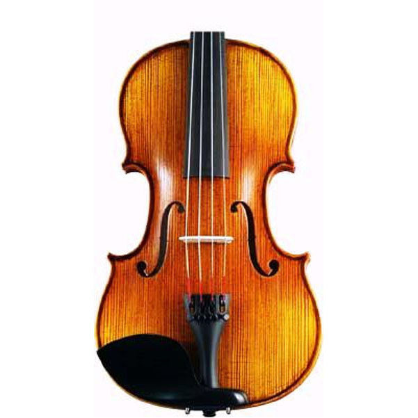 hofner violins hofner h5g 4/4 violin complete set
