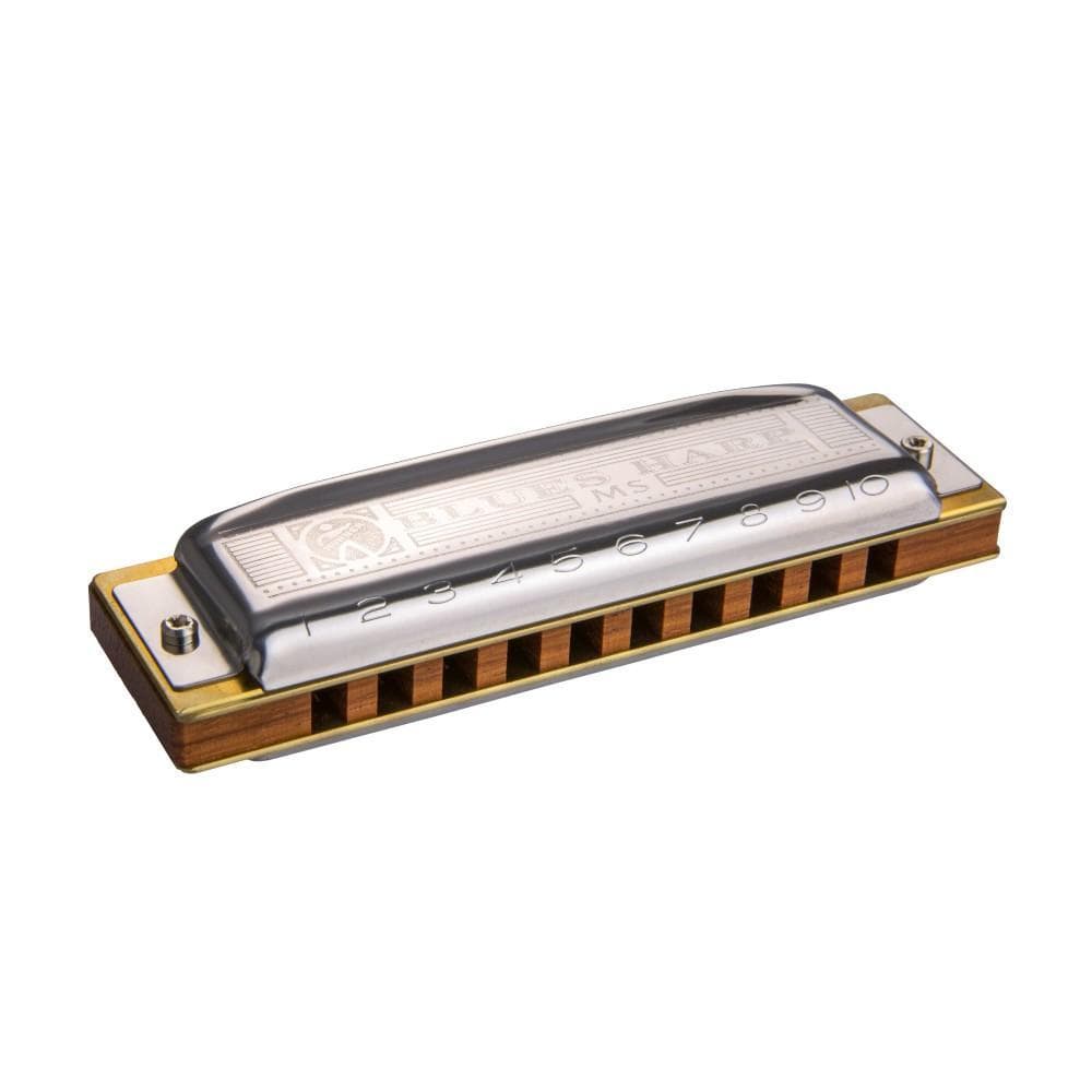 Hohner Harmonicas Hohner M590016X 590/20 Big River Harp Harmonica Key-C