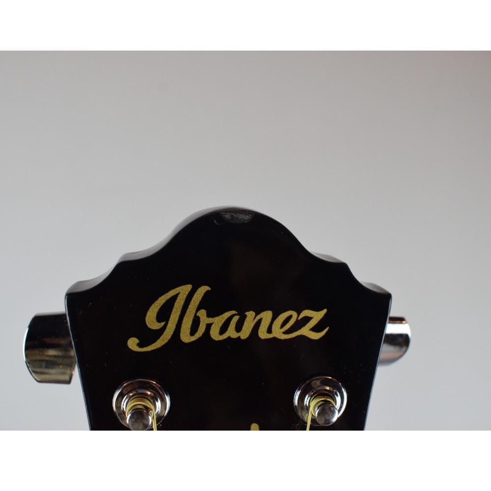 ibanez acoustic guitars 340378 ibanez v50njp acoustic guitar combo pack - open box b stock