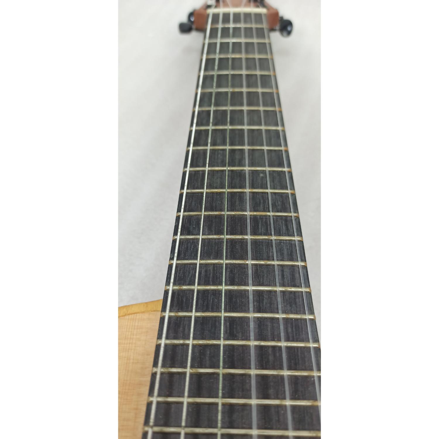 Ibanez Acoustic Guitars Ibanez AUP10N AU tenor 6 String Acoustic Guitar - Open Box