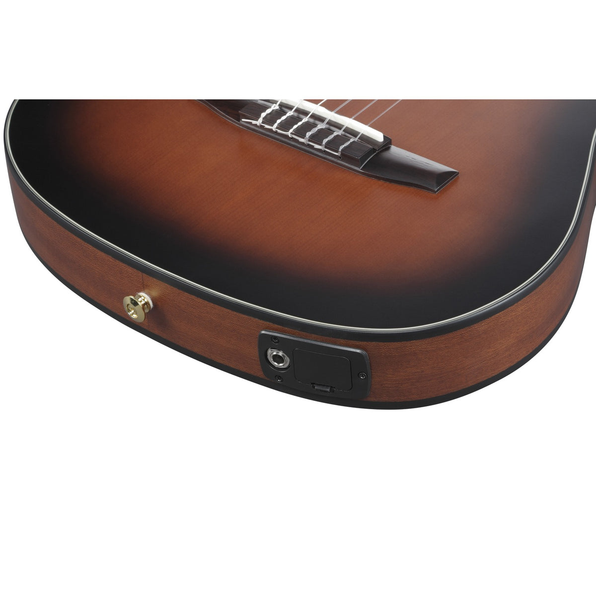 Ibanez Acoustic Guitars Ibanez FRH10N 6 String Acoustic Guitar