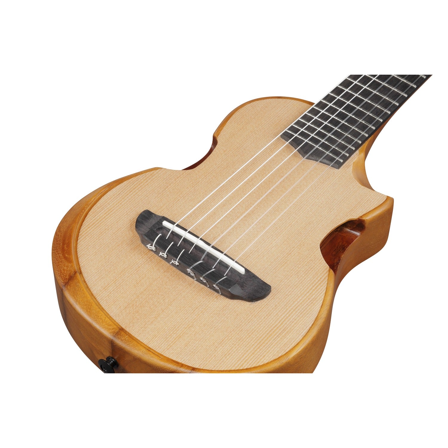 Ibanez Acoustic Guitars Open Pore Natural Ibanez AUP10N AU tenor 6 String Acoustic Guitar