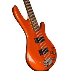 Ibanez Bass Guitars Ibanez Gio GSR205 5 String Bass Guitar