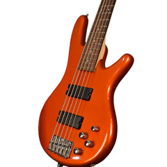 Ibanez Bass Guitars Ibanez Gio GSR205 5 String Bass Guitar