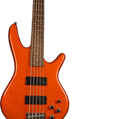 Ibanez Bass Guitars Ibanez Gio GSR205 5 String Bass Guitar