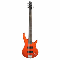 Ibanez Bass Guitars Ibanez Gio GSR205 5 String Bass Guitar