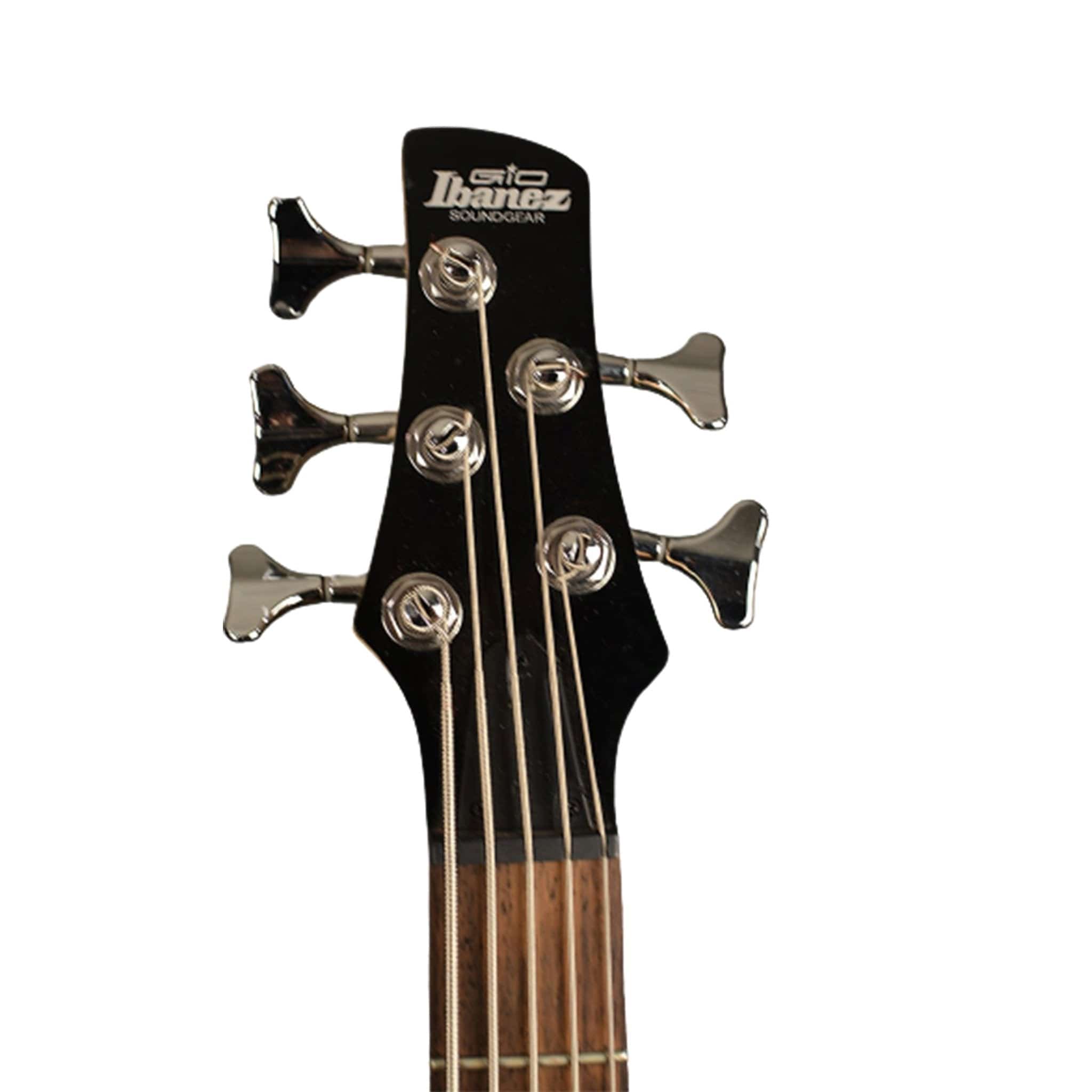 ibanez bass guitars ibanez gio gsr205 5 string bass guitar #color_transparent-red