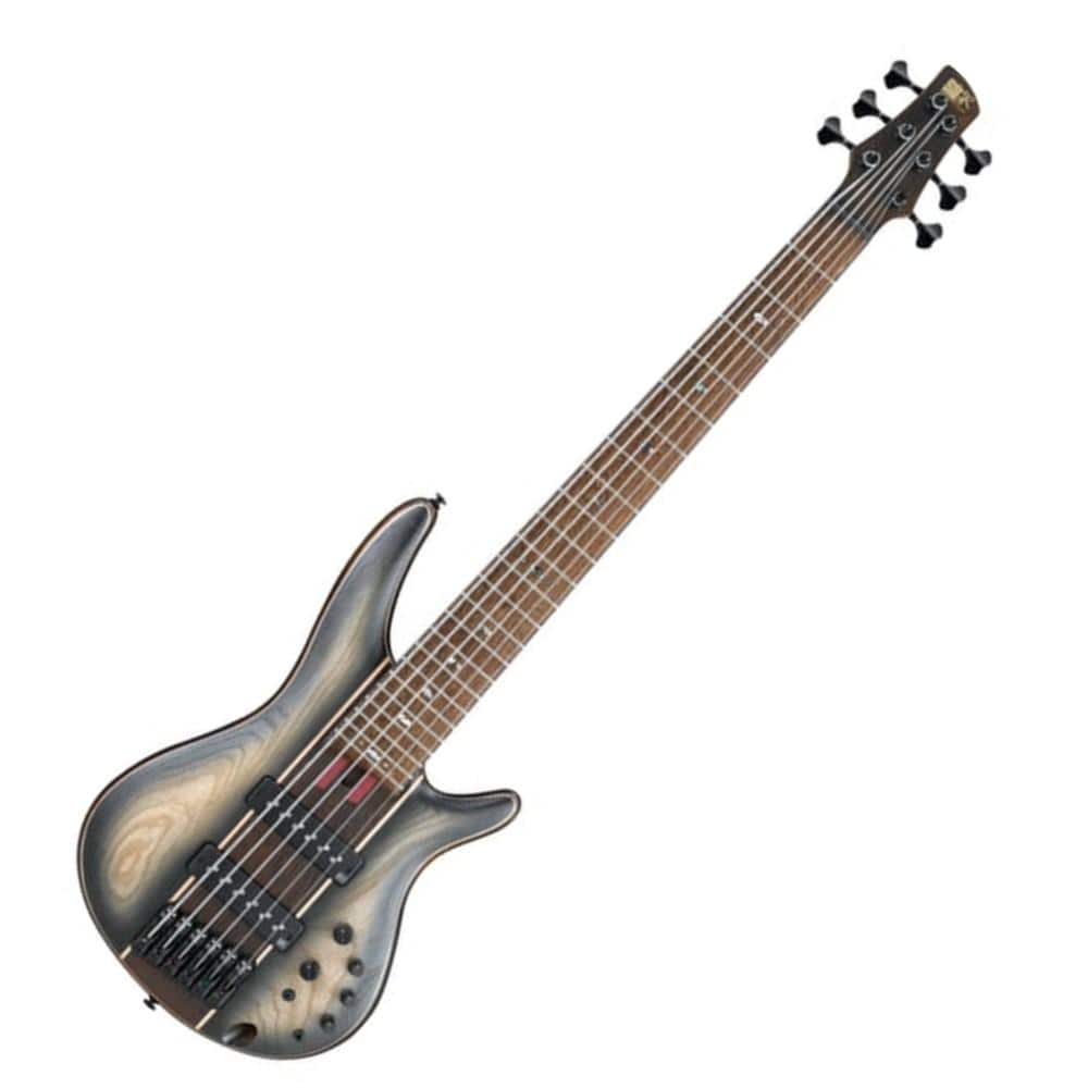ibanez bass guitars ibanez sr premium series sr1346b 6-string electric bass guitars with bag - dual shadow burst flat