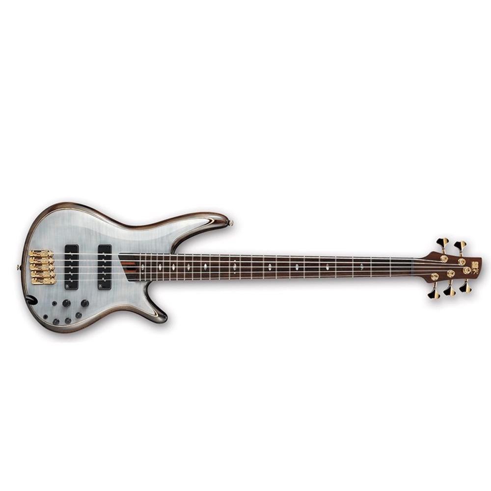 ibanez bass guitars ibanez sr1405 premium 5-string bass guitar - panga panga fretboard - glacial white