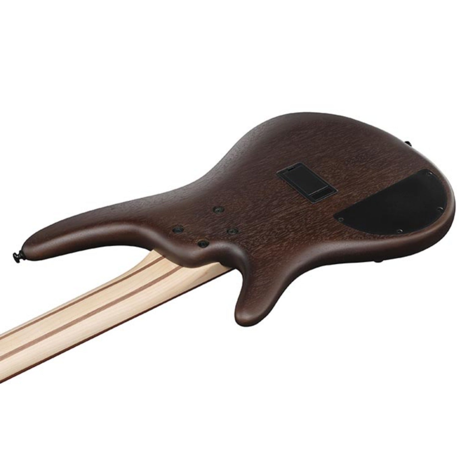 Ibanez Bass Guitars Ibanez SR305EB 5 String Electric Bass Guitar#color_walnut-flat