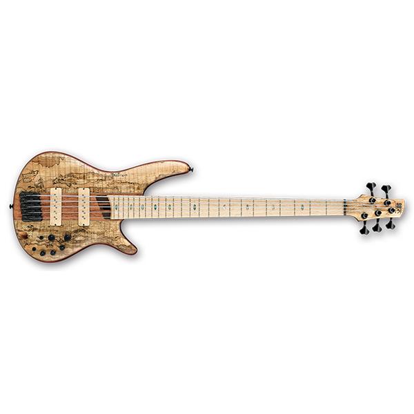 ibanez bass guitars ibanez sr5 smltd 5 string limited edition bass guitar - natural flat - open box