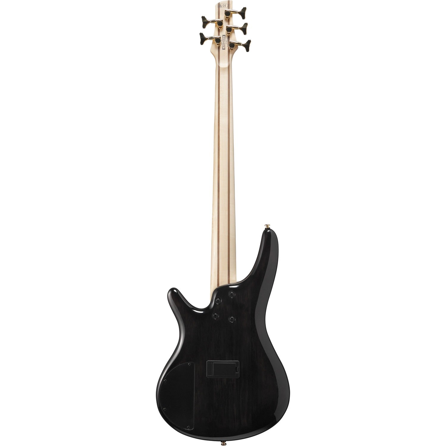 Ibanez Bass Guitars Tropical Seafloor Burst Ibanez SR405EPBDX-TSU SR Series 5 String Bass Guitar - Tropical Seafloor Burst