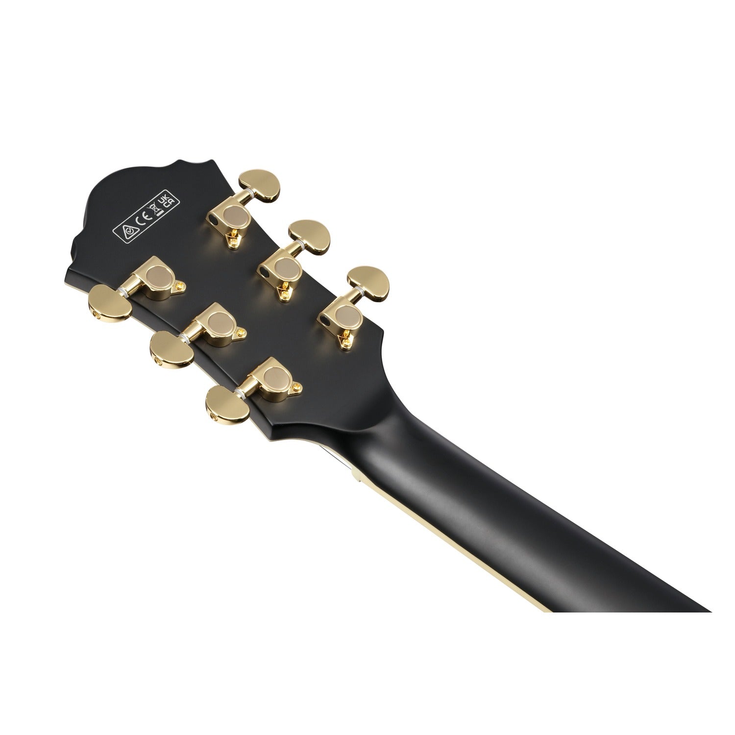 Ibanez Electric Guitars Ibanez AF75G Hollowbody Electric Guitar