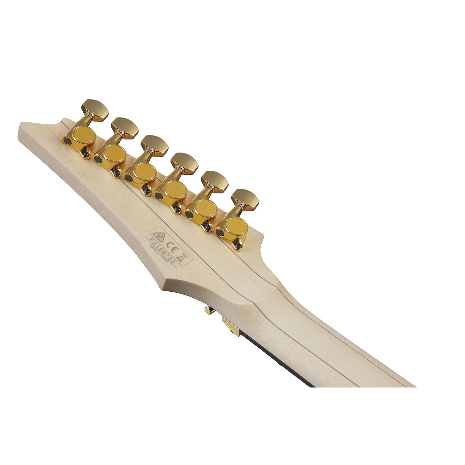 Ibanez Electric Guitars Ibanez RGA622XH 6 String Electric Guitar with Case