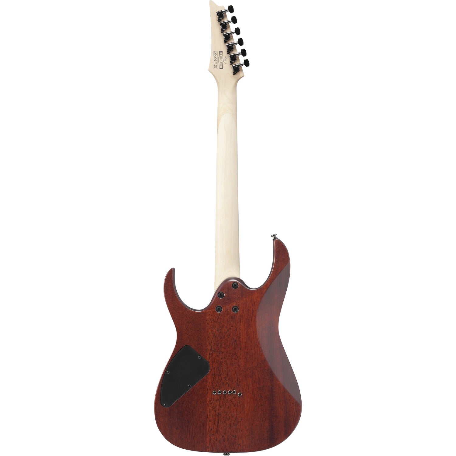 Ibanez Electric Guitars Sea Shore Matte Ibanez RG421S 6 String Electric Guitar