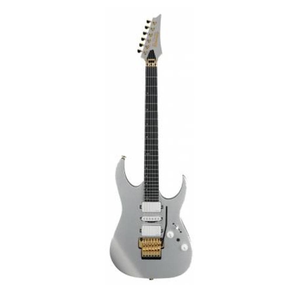 ibanez electric guitars silver flat ibanez rg5170g prestige 6 string electric guitar with case - silver flat