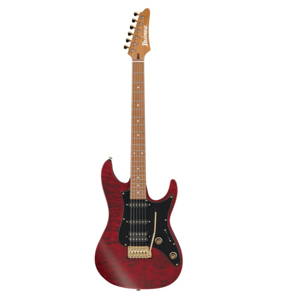 ibanez electric guitars transparent red matte ibanez slm10 electric guitar with gig bag